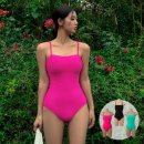 팜 비치 이미지