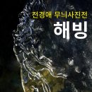 자운영 | [전시 소식] 자운영 전경애 무늬 사진전 &#39;해빙&#39;