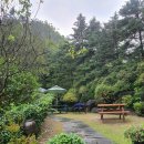 파티오-25 이미지