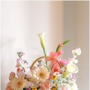 수원-0748 이미지