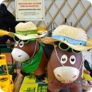 다정원 | 제주 에코랜드 4월 제주 여행 코스 추천 | 기차여행 후기 (입장료, 동백꽃, 포레스트파크)