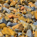 천곡방파제 이미지