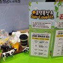 Sun-Love치즈