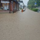 오투아일랜드 이미지