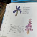 지도 작은도서관 | [대구] 5월 봄 가볼만한곳 대구수목원 작은도서관, 카페 이용후기
