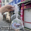 부산 수족관 베타 물고기 파는곳 수초 구매 가능 청담수족관 후기
