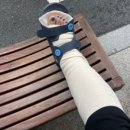 대룡산약국 이미지