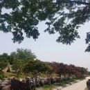 이화영농조합법인 이미지