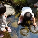 강정동-3 이미지