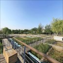 선유도공원디자인서울갤러리 Daum카페