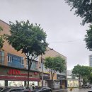 의류타운사거리 이미지