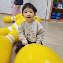 과일실꿰기/가을과일탐색/영어/동화/안전교육/체육/가을길에서 만난 고추잠자리 이미지