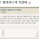 아이디오스 이미지