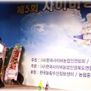 복드림 이미지