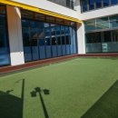 수지애견 | 동천동 강아지호텔 수지 애견유치원 추천 옐레드 수지동천점 무료체험 후기 🐶