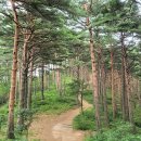2026년 8월 18일(453차) 양구-대암산 솔봉 산행&amp;광치계곡 트레킹~ 이미지