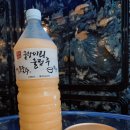 정류소상회 - 나주시 | 정류소상회