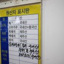 돼지민박 이미지