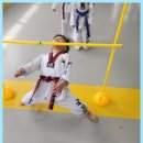 국가대표솔빛태권도장 이미지