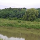 왕숙천고향의강 이미지