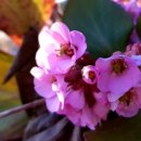 나로 in 해 이미지