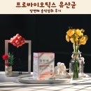 해야 | 프로바이오틱스 유산균 추천 장편해 솔직섭취 후기