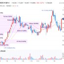피부미용 섹터도 차트 돌리나 이미지