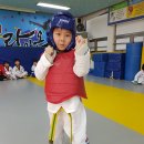 경희 라이온 태권도장 이미지