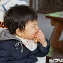 토리샘 티스토리