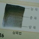 아미헤어 이미지