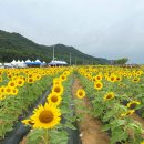 교동면 난정저수지 이미지