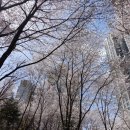 광덕산근린공원 네이버블로그