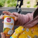 오금로68길 | 송파구 2025년 장애인의 날 맞이 차량 무료점검 실시, 거여동공영주차장