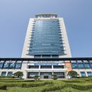 강릉시치매안심센터 | 치매 사각지대 해소를 위한 강릉시의 적극적인 행보(치매안심센터의 다음 전략, 노인학습지로 정서...