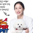 마이펫 이미지