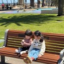 10년타기 | 호주 애들레이드 글레넬그 관람차 타기 근처 카페