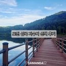 삼곡 | 포천 심곡 저수지 산책 후기