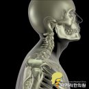 터커리한의원 이미지