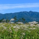 황산공원 이미지