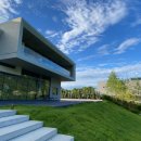 골든트리 이미지