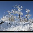 상당구청체육관 이미지