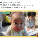 유퀴즈 쿠키영상 🍪삼둥이 미공개 하드털이🍪 이미지