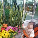 만년어린이집 이미지