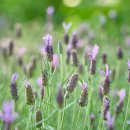 울산 장생포고래박물관 이미지