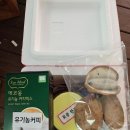 덤커피 이미지