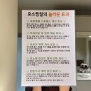 효소체형관리 이미지