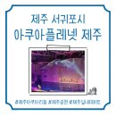 놀로 아쿠아센터 | [제주 서귀포시 아쿠아플라넷 제주] 제주아쿠아리움, 제주여행지