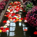 호반 정원 이미지