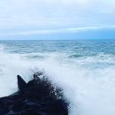 안면도민박 이미지