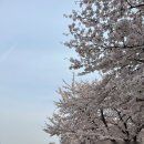 지에스25 여의수정점 이미지